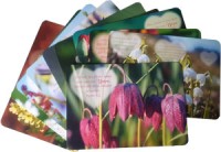 Postkarten-Set - Herz